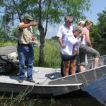 Airboat Swamp and Destrehan Plantation Tour from New Orleans - Who Will Love This Tour?