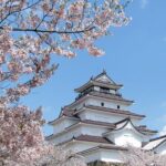 Aizu 6hr Private Tour with Government-Licensed Guide - Who Would Love This Tour?