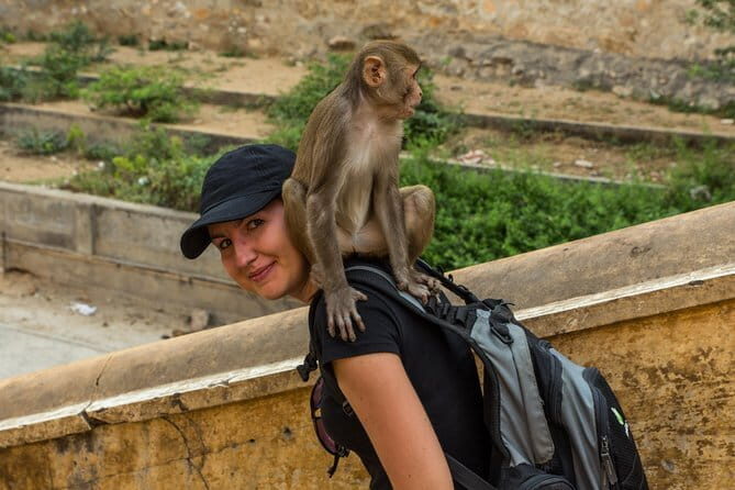 Ajmer Pushkar Same Day Tour By Private Car - Considerations and Possible Drawbacks