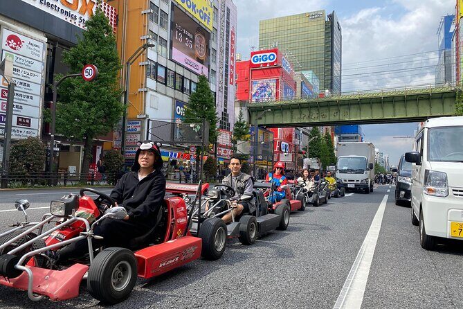 Akihabara: Go-Kart Experience with Local Guide in Tokyo - Who Will Love This Tour?