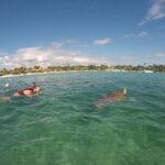 Akumal turtles sanctuary and go pro photos - In-Depth Review: What to Expect and Why It Matters