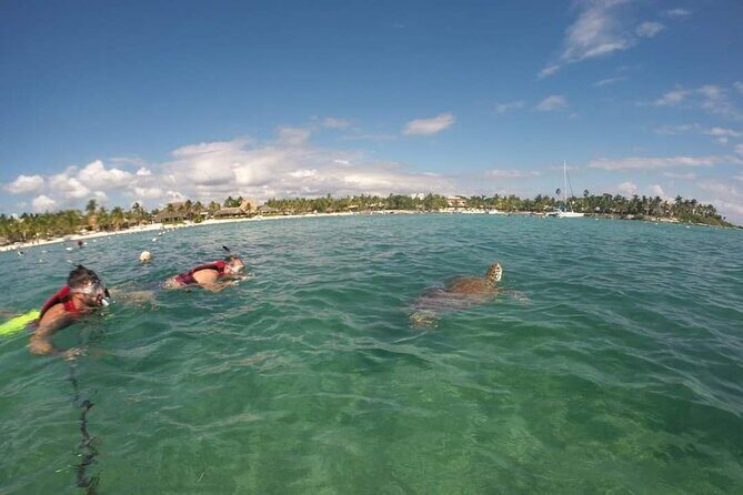 Akumal turtles sanctuary and go pro photos - In-Depth Review: What to Expect and Why It Matters