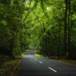 Alappuzha Backwaters in Private Houseboat with Lunch, Pick & Drop - Pricing and Value