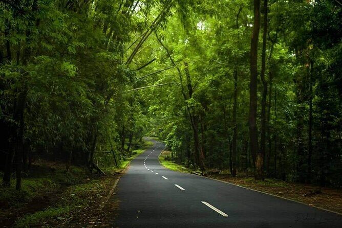 Alappuzha Backwaters in Private Houseboat with Lunch, Pick & Drop - Pricing and Value