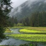 Alaska Bears and Silver Bay Homestead - Who Will Enjoy This Tour?
