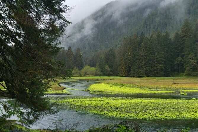 Alaska Bears and Silver Bay Homestead - Who Will Enjoy This Tour?