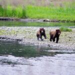 Alaska Ocean Wilderness Expedition - A Deep Dive into the Alaska Ocean Wilderness Expedition