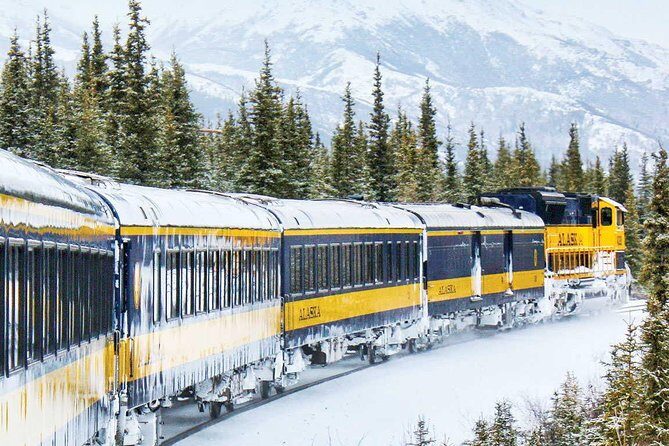 Alaska Railroad Aurora Winter Fairbanks to Anchorage One Way - Who Should Consider This Trip?