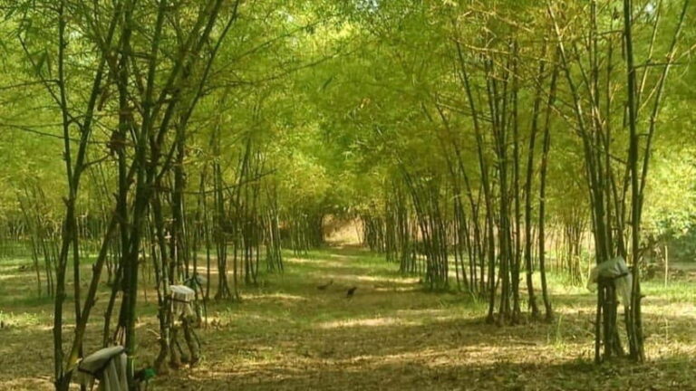 Albay Bicol Full Day Join-In-Tour by ZCHEDULISTA - Exploring the Itinerary in Detail