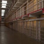 Alcatraz Day Tour and San Francisco Bay Cruise - Who Should Consider This Tour?