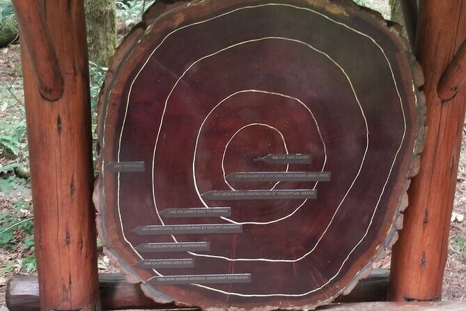 Alcatraz Plus Muir Woods & Sausalito Combo Tour - Muir Woods: Standing Among Giants