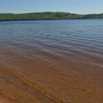 Algonquin Provincial Park Full Day Trip - The Value of This Experience