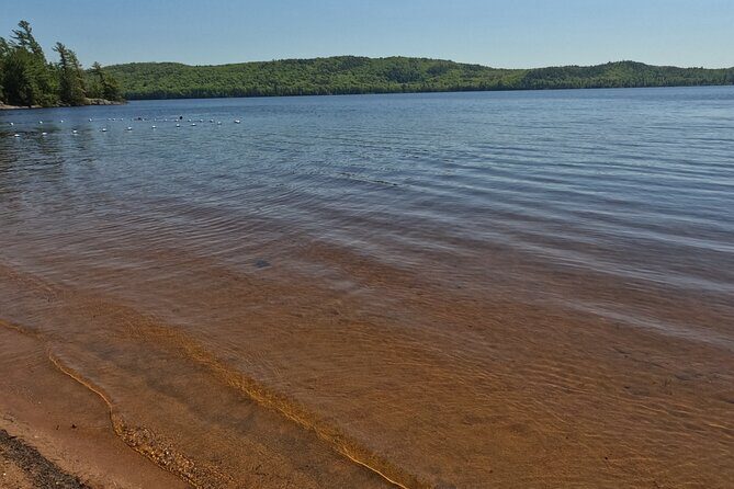 Algonquin Provincial Park Full Day Trip - The Value of This Experience