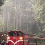 Alishan One Day Tour from Taichung - The Balance of Value and Experience