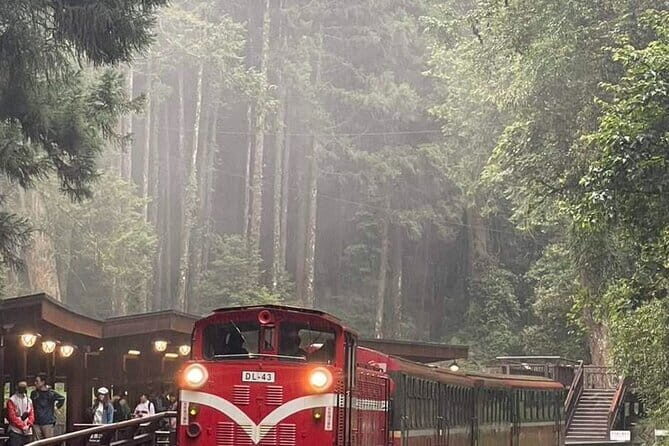 Alishan One Day Tour from Taichung - The Balance of Value and Experience