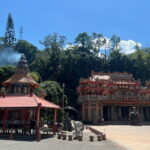 Alishan, Sun Moon Lake, Taichung Three Days Tour from Taipei - The Value of This Guided Experience