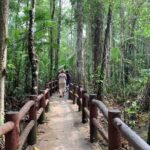 All day Krabi Jungle Tour (Hot Spring Water, Emerald Pool, Tiger Cave Temple) - A Deep Dive Into the Experience