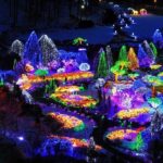 All Day Private Make your own plan tour to Nami Island and others - The Sum Up: Is This Tour Right for You?