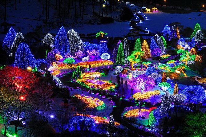 All Day Private Make your own plan tour to Nami Island and others - The Sum Up: Is This Tour Right for You?