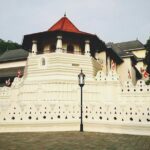 All in one Sri lanka 7nights 8 days for couple price - Authentic Insights from Travelers