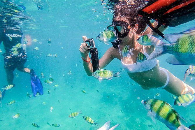 All-in Phi Phi, Maiton, MayaBay, Khai, Bamboo islands Tour - What Travelers Say: Authentic Perspectives