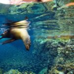 All-Inclusive catamaran Espiritu Santo Island Tour from Los Cabos - The Value of a Hassle-Free Full Day