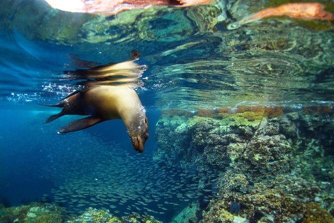 All-Inclusive catamaran Espiritu Santo Island Tour from Los Cabos - The Value of a Hassle-Free Full Day