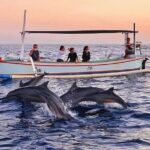 All inclusive Lovina Dolphins Sunrise tour, Waterfall & Temple - Why This Tour Stands Out