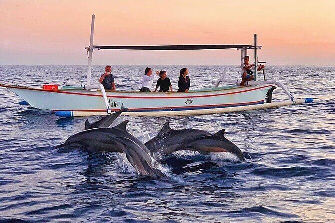 All inclusive Lovina Dolphins Sunrise tour, Waterfall & Temple - Why This Tour Stands Out