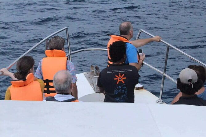 All Inclusive Mirissa Whale and Dolphin Watching Boat Ride - Authentic Experiences and Honest Feedback