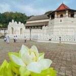All-Inclusive Private tour in Sri Lankan Island 9 Day HB hotels - A Detailed Look at the 9-Day Sri Lanka Private Tour