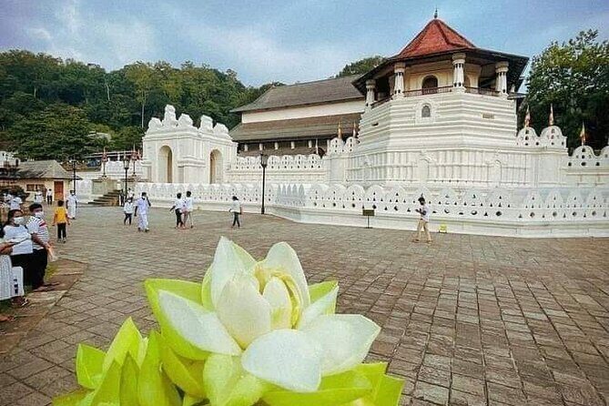 All-Inclusive Private tour in Sri Lankan Island 9 Day HB hotels - A Detailed Look at the 9-Day Sri Lanka Private Tour