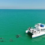 All-Inclusive Sandbar Safari with Dolphin Playground Encounter - The Pros and Cons
