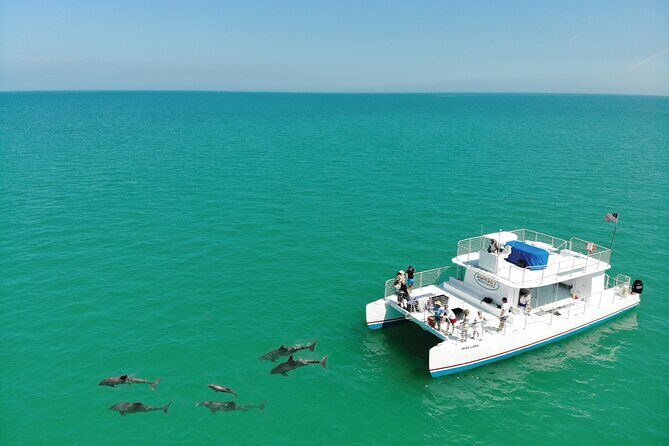 All-Inclusive Sandbar Safari with Dolphin Playground Encounter - The Pros and Cons