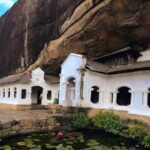 All Inclusive Sigiriya Rock Fortress & Dambulla Temple day Tour - Who Should Book This Tour?