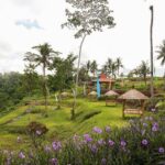 All-Inclusive Ubud Bali Private Full-Day Tour - Who Should Consider This Tour?