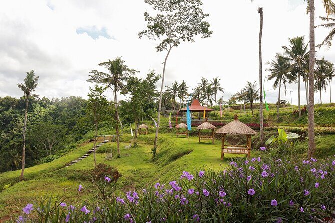 All-Inclusive Ubud Bali Private Full-Day Tour - Who Should Consider This Tour?