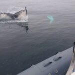 All-Terrain Vehicle Tour in Trinity Newfoundland and Labrador - A Closer Look at the Tour Experience