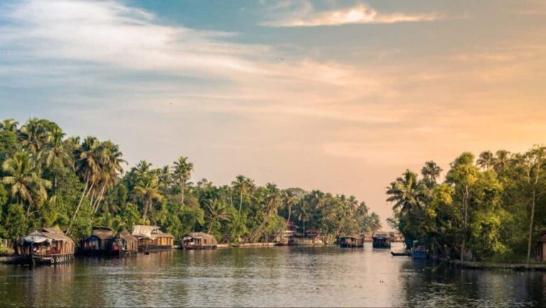 Alleppey Backwaters Delight: Private Houseboat Day Trip - Detailed Itinerary: What to Expect