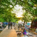 Alleppey Photography Guided Walk Tour with Tuk Tuk Ride - Why Choose the Alleppey Photography Guided Walk?