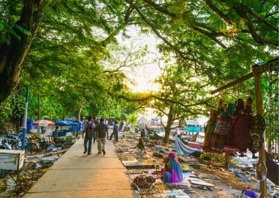 Alleppey Photography Guided Walk Tour with Tuk Tuk Ride - Why Choose the Alleppey Photography Guided Walk?