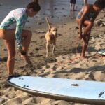 Almar Surf & Skate School: Surflessons in Bahia de Banderas - Frequently Asked Questions (FAQs)