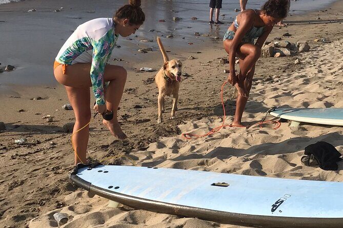Almar Surf & Skate School: Surflessons in Bahia de Banderas - Frequently Asked Questions (FAQs)