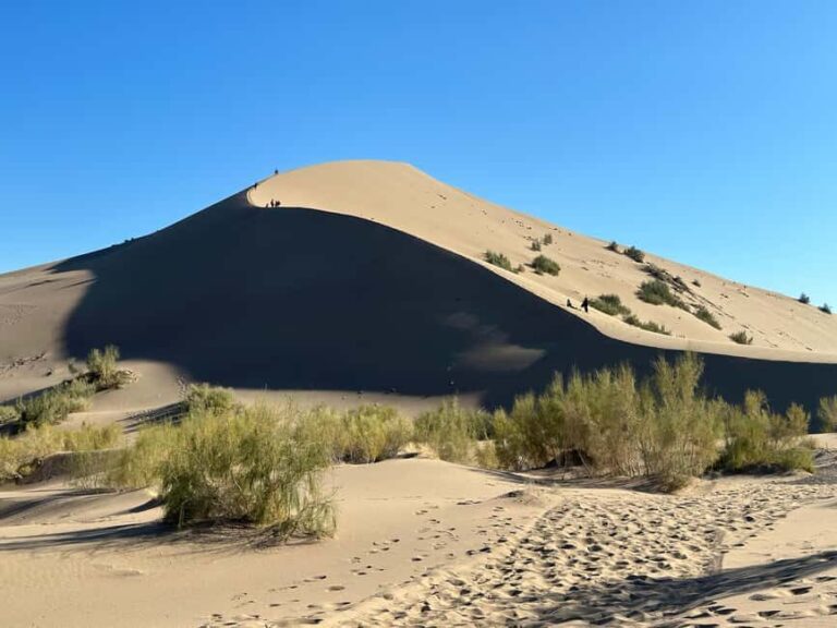 Almaty: 2-Day Altyn-Emel National Park Tour with Meals - Who Should Consider This Tour?