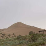 Almaty: Altyn-Emel National Park Day Trip with Guide - A Closer Look at the Altyn-Emel Day Trip