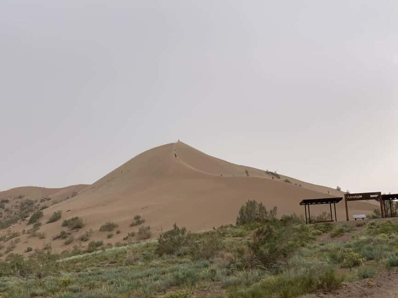 Almaty: Altyn-Emel National Park Day Trip with Guide - A Closer Look at the Altyn-Emel Day Trip