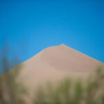 Almaty: Altyn Emel National Park Two-Day Trip - Authentic Experiences and Guide Insights