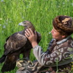 Almaty: Falconry show and Big Almaty Gorge - The Spectacle of Falconry: Birds of Prey Show