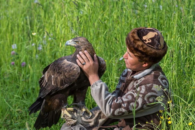 Almaty: Falconry show and Big Almaty Gorge - The Spectacle of Falconry: Birds of Prey Show
