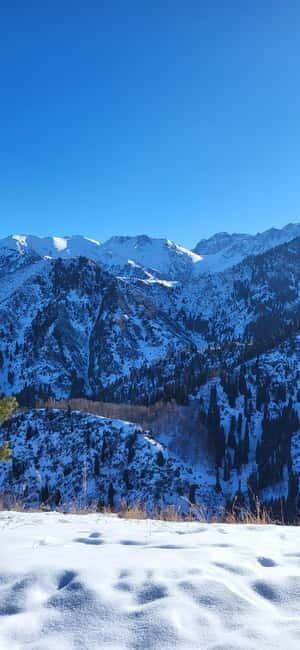 Almaty: Kim Asar Mountains and Waterfall Hiking Tour - The Value of This Experience
